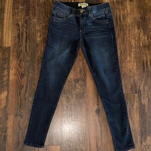 Democracy Deep Indigo Skinny Jeans